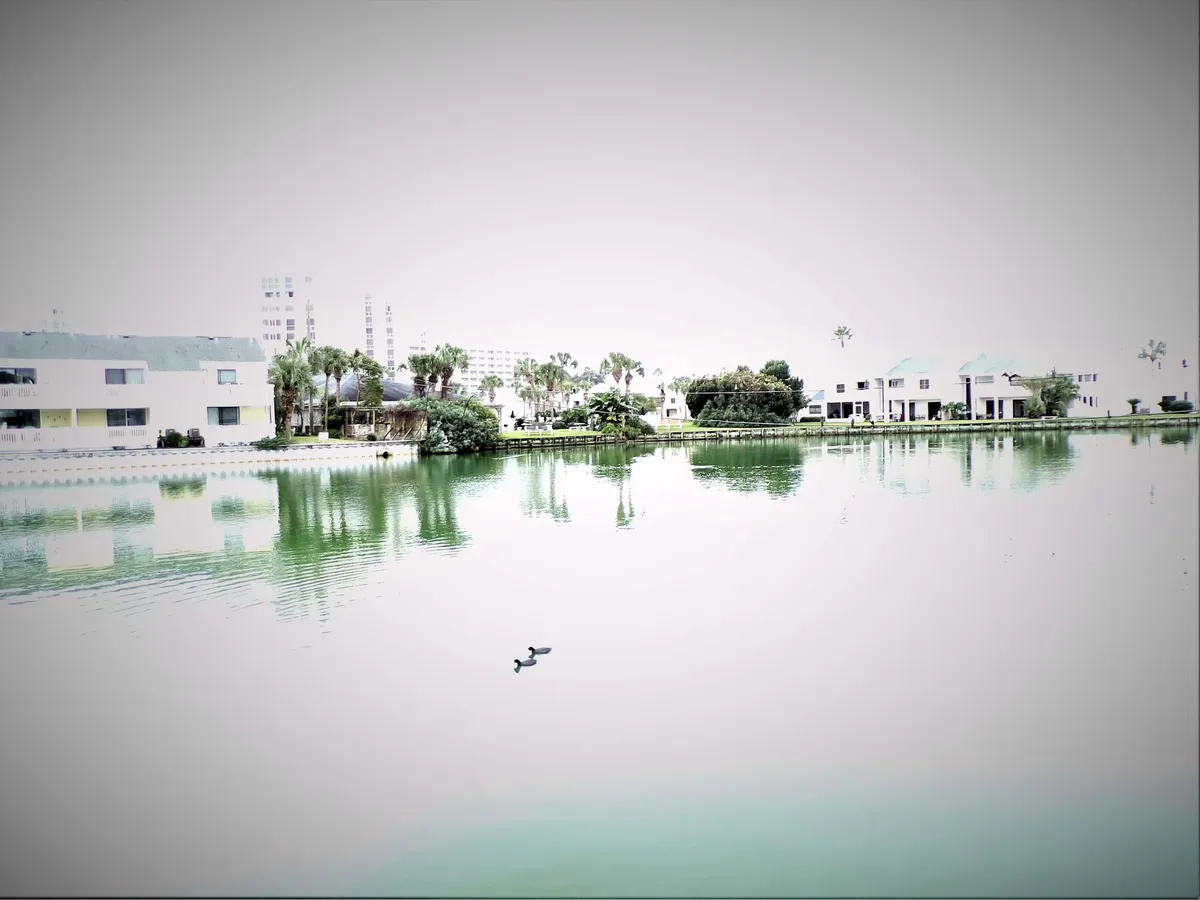 A wide exterior shot of the lake with two ducks swimming, palm trees scattered along the shoreline, and condo buildings reflected in the water. The scene feels relaxed and inviting, emphasizing both the natural and residential aspects of the complex.
