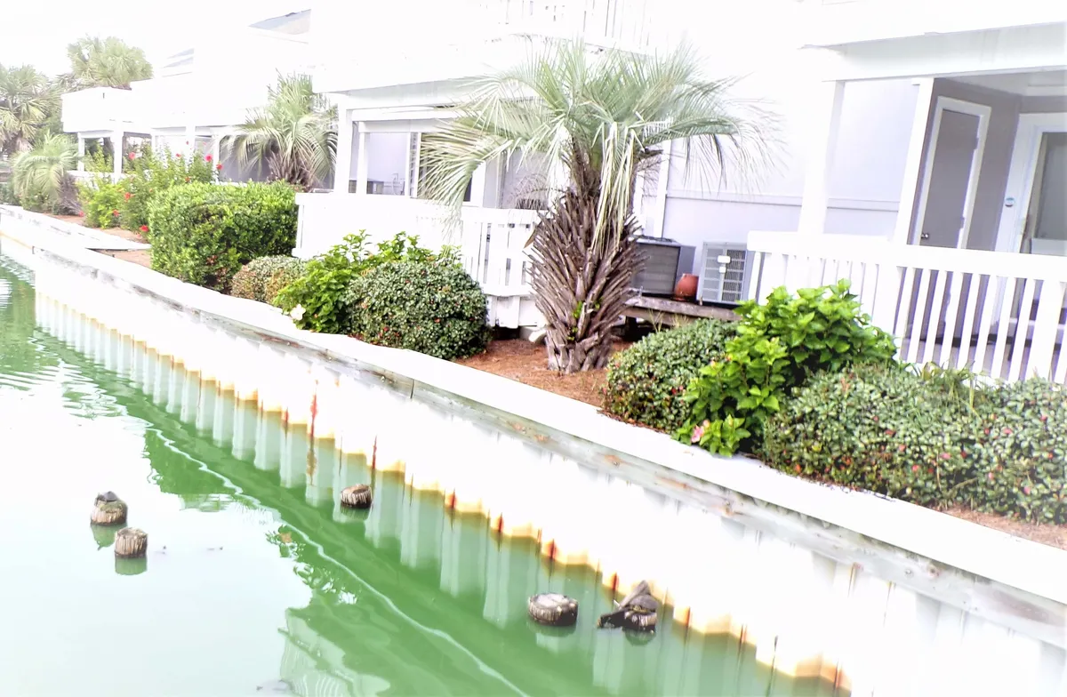 This exterior shot looks across calm lake water with reflections, white balcony railings, lush greenery, palm trees, and a row of residential condo units. It shows the peaceful lakeside environment and easy access to balconies and nature.