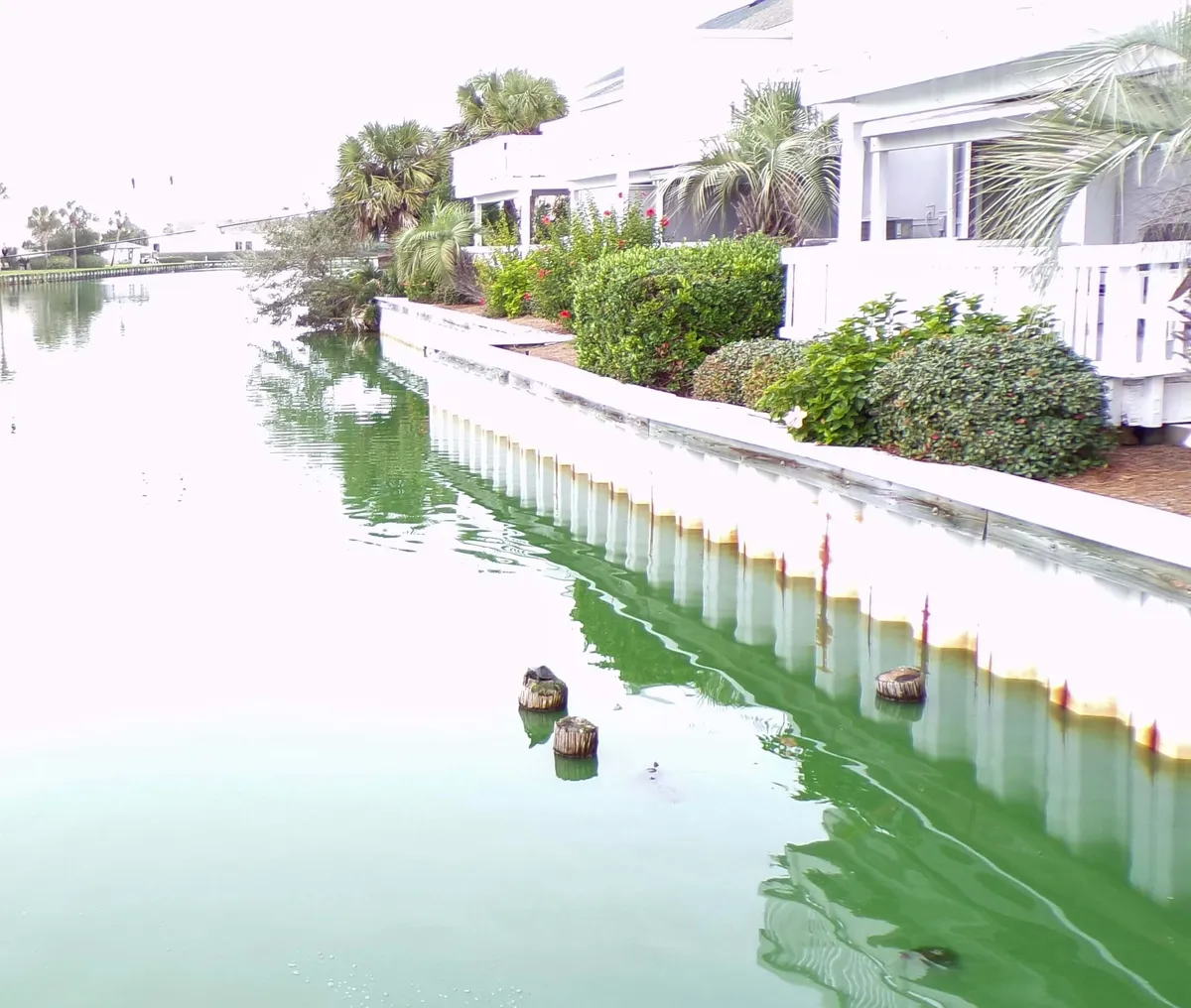 A peaceful exterior view of the lake, edged with lush green shrubs and palm trees, with a row of condo townhouses and balconies overlooking the water. The scene shows opportunities for fishing, relaxing on balconies, strolling along the water’s edge, and enjoying the natural landscape.